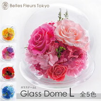 楽天市場】ペア カップル（プリザーブドフラワー｜花・観葉植物）：花 