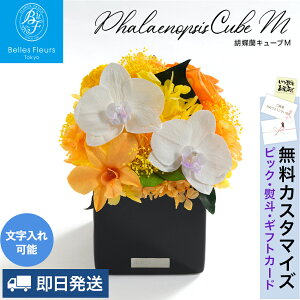 vU[uht[ Ӓ Ď̂j Ê   P j v[g ̓    Mtg P[X  ~j a JƏj JXj Vzj ސEj j