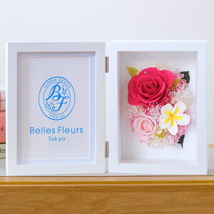 vU[uht[ ʐ^ P[X a  Mtg vA v[g JITSUYO COVER frm ̓ ̓ hV  @l rWlX JƏj JXj Vzj ސEj ٓ j