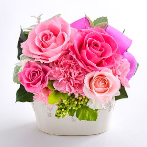 oׁuvZXv vU[uht[  ~j { xEt[ l ̂ bZ[WJ[h P[X VbN  CeA LO  J JX Vz ސE 