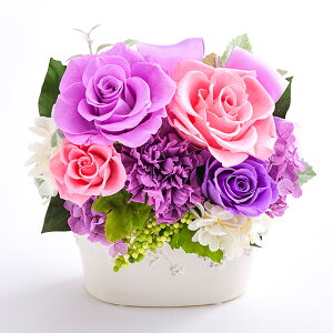 oׁuvZXv vU[uht[  ~j { xEt[ l ̂ bZ[WJ[h P[X VbN  CeA LO  J JX Vz ސE 