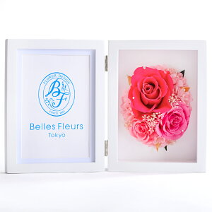 vU[uht[ ʐ^ Ď  o P j җ Ύ Ê   j Mtg a  ʉ ސE  w v[g  ʐ^ LO ʐ^ tHgt[