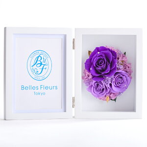 vU[uht[ ʐ^ Ď  o P j җ Ύ Ê   j Mtg a  ʉ ސE  w v[g  ʐ^ LO ʐ^ tHgt[