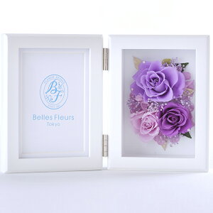 vU[uht[ ʐ^ j Mtgo a   ʉ ސE  w  v[g  ސE җ LO ʐ^ tHgt[ j i N  } t