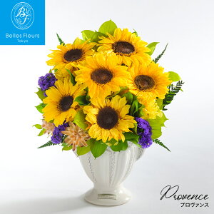 vU[uht[ a Mtg  v[g uU[uh q}  #v@X  arg Ђ܂   Mtg v[g J JX Vz ސE ٓ j 