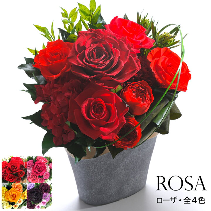 楽天市場 プリザーブドフラワー 誕生日 ブリザード ブリザーブド ローザ 立て札ok 送料無料 Arg 花 ギフト プレゼント 母の日 父の日 敬老 誕生日 結婚 両親贈呈 開業 開店 新築 退職 異動 内祝い 歓送迎 ケース入り オーダー可能 出荷 3営業日