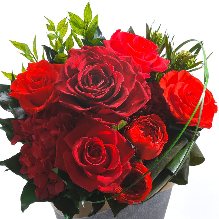 楽天市場 プリザーブドフラワー 誕生日 ギフト 花 プレゼント ブリザーブド ローザ 立て札ok 送料無料 Arg 花 ギフト プレゼント 母の日 父の日 敬老 誕生日 結婚 両親贈呈 開業 開店 新築 退職 異動 内祝い 歓送迎 ケース入り オーダー可能 出荷 3営業日