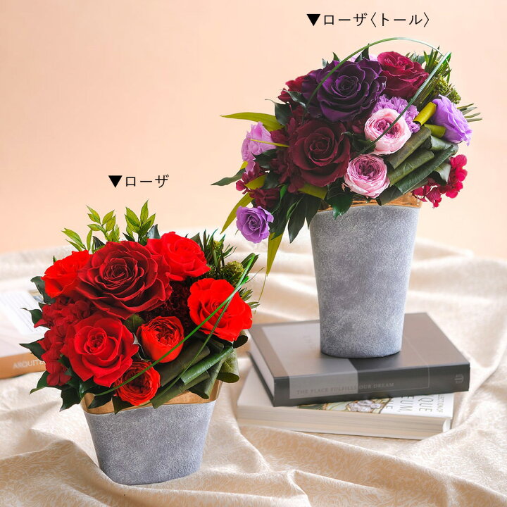 楽天市場 プリザーブドフラワー 誕生日 ブリザード ブリザーブド ローザ 立て札ok 送料無料 Arg 花 ギフト プレゼント 母の日 父の日 敬老 誕生日 結婚 両親贈呈 開業 開店 新築 退職 異動 内祝い 歓送迎 ケース入り オーダー可能 出荷 3営業日