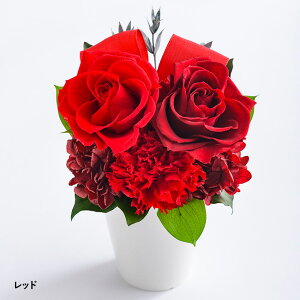 oׁuoƃ{̃AWgvOZ[vU[uht[xEt[   l ̂ bZ[WJ[h P[X LO ei v[g 