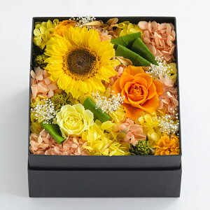 vU[uht[ ̓ Mtg P[X {bNX a  Mtg v[g uU[ht[ q}  arg boxflower BOX  7 8  J JX Vz ސEj ٓ 