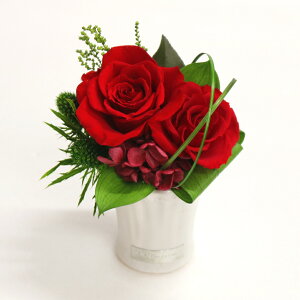 vU[uht[ Mtg P[X a  o bZ[WJ[h v[g vU[uht[ J AC @l ̓ a J JX Vz ސE ٓ j } җ 