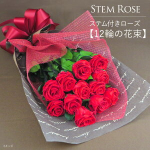 誕生日 花 一輪の人気商品 通販 価格比較 価格 Com