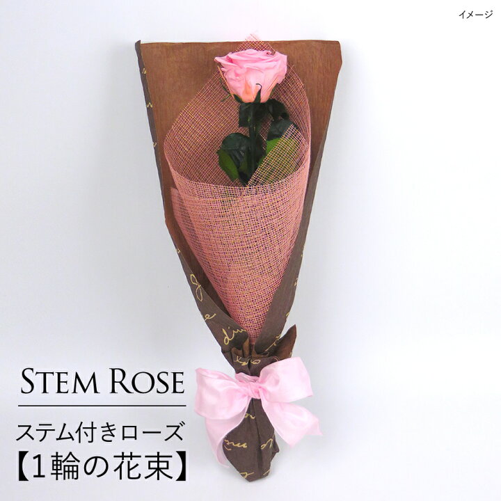 楽天市場 ホワイトデー プリザーブドフラワー 花束 誕生日 ブリザーブド ステム付きローズ 1輪の花束 なでしこjapan にカズが贈ったバラ Boq ブーケ 一輪 花 ギフト プレゼント プロポーズ 誕生日 結婚 両親贈呈 開業 開店 新築 退職 異動 出荷 3営業日
