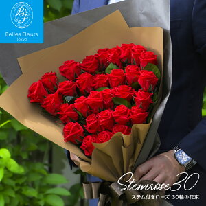 vU[uht[ o ԑ   sN  F 30{ Mtg v|[Y a  ސE җ LO v[g u[P 蕨 j LO ỏԑ ȂłJAPANɃJY