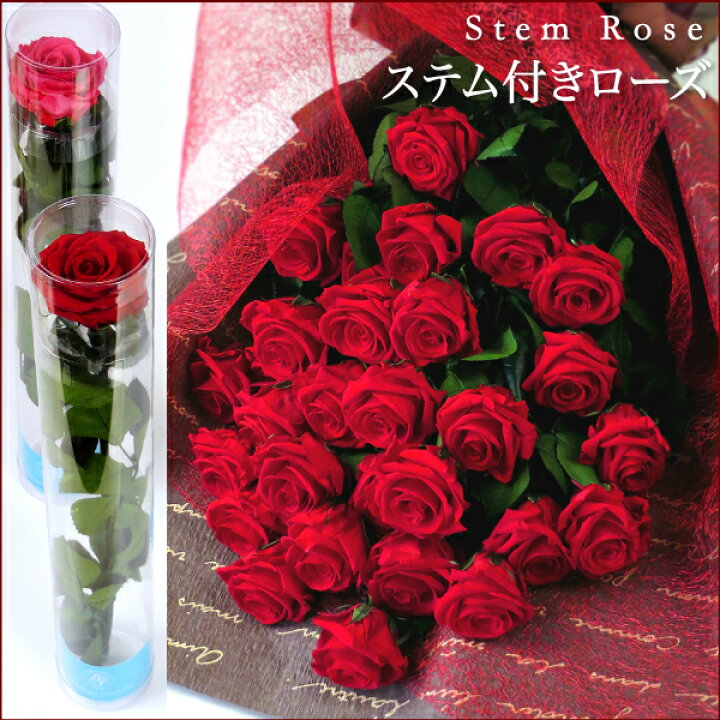 楽天市場 プリザーブドフラワー 誕生日 ギフト 花 プレゼント ブリザーブド バラ 一輪 記念日 ステム付きローズ なでしこjapan にカズが贈ったバラ あす楽対応 Boq ブーケ 花束 花 ギフト プレゼント 結婚 両親贈呈 開業 開店 新築 退職 内祝い 歓送迎 ケース入り