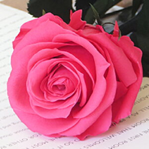 プリザーブドフラワー バラ 花束 一輪 白 ピンク 青 黄色 ギフト ケース入り バラ プロポーズ 誕生日 花バラ 薔薇 花束 赤 退職 還暦 記念日 プレゼント ブーケ サプライズ 贈り物 お祝い 開業