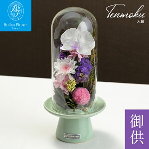 uV ĂvvU[uht[KXh[ xEt[ l ̂ bZ[WJ[h  _  d  Ӓ ~j     ͂