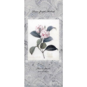 hD[e RNV@`Pbg t@C@MA