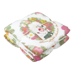 ���h�D�[�e �R���N�V�����@�L�b�`���N���X(�ӂ���2���g)�@���[�X��
