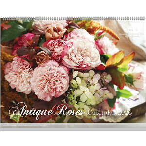 y`OX֑Ήiz2026N Ǌ| J_[@AeB[N[Y 57