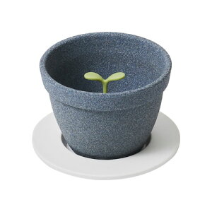 AbVRZvg@Kinome@Z~bN R[q[ tB^[i1`2lpj