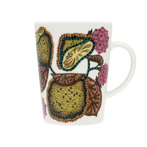 Cb^@^CJ Tg@}O 0.4L@CG[@1076264