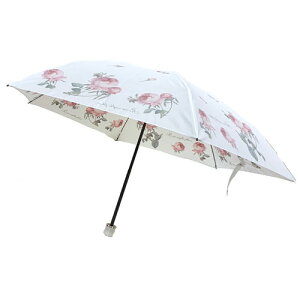 sG[=W[tEhD[e@܂ݎP o zCg@/ Jp UVJbgH JP P { y 