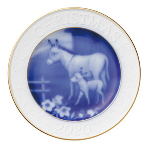 q@NX}Xv[g@2020N@wDONKY FAMILYx