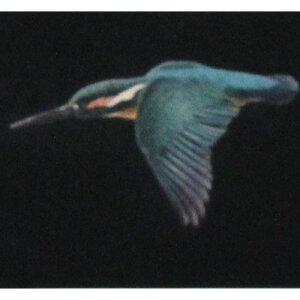  @ztŉ(]`g)@uāv@1995N