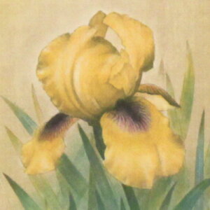  @ztŉ(]`g)@uACX 2v@2000N