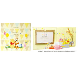 |bvAbvAo AL-139 ܂̃v[