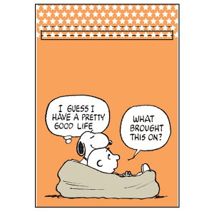 WbvMtgobOS /Xk[s[ / IW