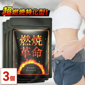 【MAX50%OFF】【公式】 超燃焼特化型 燃焼革命 90日分(30日分×3個セット) ダイエット サプリ ダイエットサプリ 男性 女性 L- カルニチン カプサイシン ブラックジンジャー ヒハツエキス ひはつ ガルシニア 黒 生姜 黒しょうが ギフト【日本製/ビタミン11種】