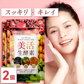 【公式】コンブチャとチャコールクレンズの美活生酵素 60日分(30日分×2個セット) 酵素 酪酸菌 アサイー マルチ ビタミン 乳酸菌 美容 黒ニンニク ダイエットサプリメント 麹菌 美容成分 炭サプリメント チャコール クレンズ ギフト プレゼント【日本製/酵素358種/炭4種】