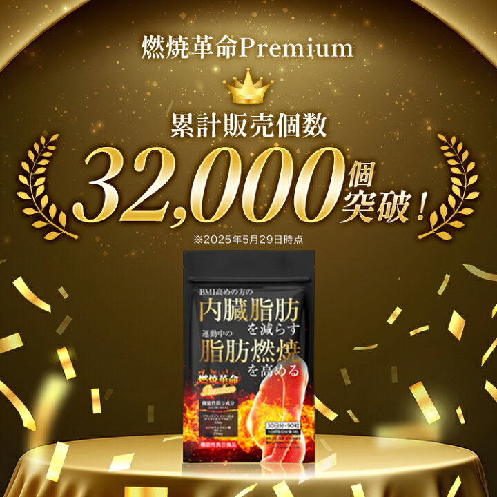 内臓脂肪燃焼 湧命力アイベルト