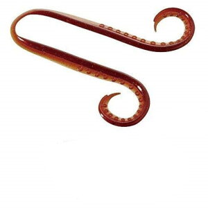 �V�}�m(SHIMANO) ���� �W���l�N�^�C �C�J�^�R�J�[���[ 15T �I�����W�O���[ EW-004N �^�C���o