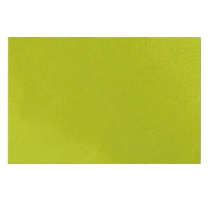 TRIWONDER AEghA h TVF[h Lv VF^[ eg ^[v tbgvg r[` sNjbN uPbg }bg CtC nbN(O[ M - 290x220 CM)