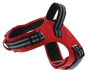 �y�e�B�I (Petio) ���u�n�[�l�X ���b�h SS �T�C�Y