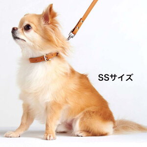 �y�e�B�I (Petio) Porta �|���^ �\�t�g���U�[���[�h SS�T�C�Y �L������