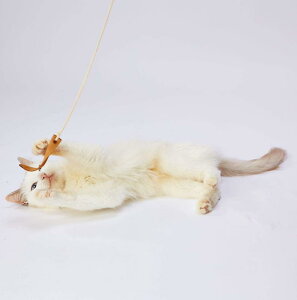 �y�e�B�I (Petio)�L�p��������necoco ���U�[�L����炵 �q���t�����U�[