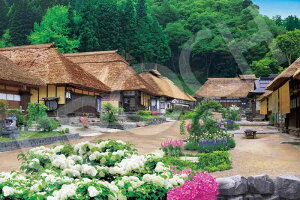 G|bN 1000s[X WO\[pY {i V΂̑h- (50×75cm) 09-012s ̂t wt _t EPOCH