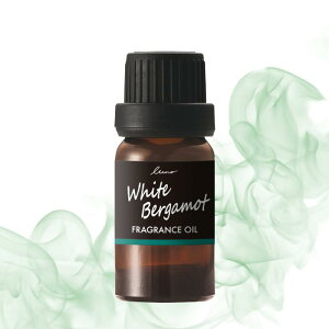 J[Cg(CARMATE) ԗp p  F tOXfBt[U[ p tOXIC zCgxKbg L10053