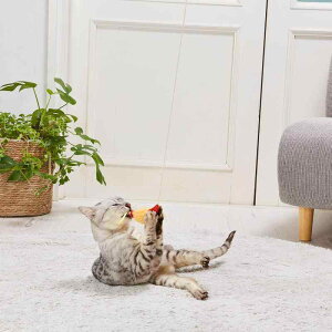 �y�e�B�I (Petio) �L�p�������� ���肮��� de ����炵 �~�j�G�r�V