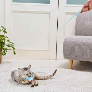 �y�e�B�I (Petio) �L�p�������� ���肮��� de ����炵 �~�j�y���M��