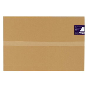 RN CNWFbgvb^[p g[VOy[p[ A1 100 Z-PIT76