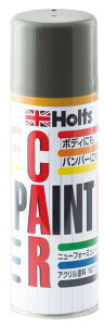 �z���c �����h���X�v���[ �J�[�y�C���g �g���^�ԗp 1F7 �V���o�[M 300ml Holts MH12113