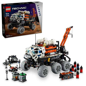 S(LEGO) eNjbN LlΐT[o[  ߋ v[g a ubN NX}X j̎q ̎q q 11 12 13 w F 42180