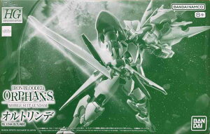 HG 1/144 Igf