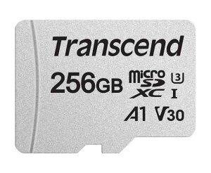 gZh microSDJ[h 256GB UHS-I U3 V30 A1 Class10yf[^\tg񋟁zNintendo Switch mF TS256GUSD300S-AE