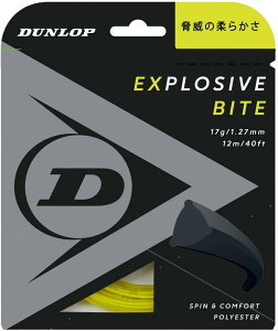 _bv(DUNLOP) ejX dejX GNXvbVuEoCg P 12m CG[ 1.27mm DST11011